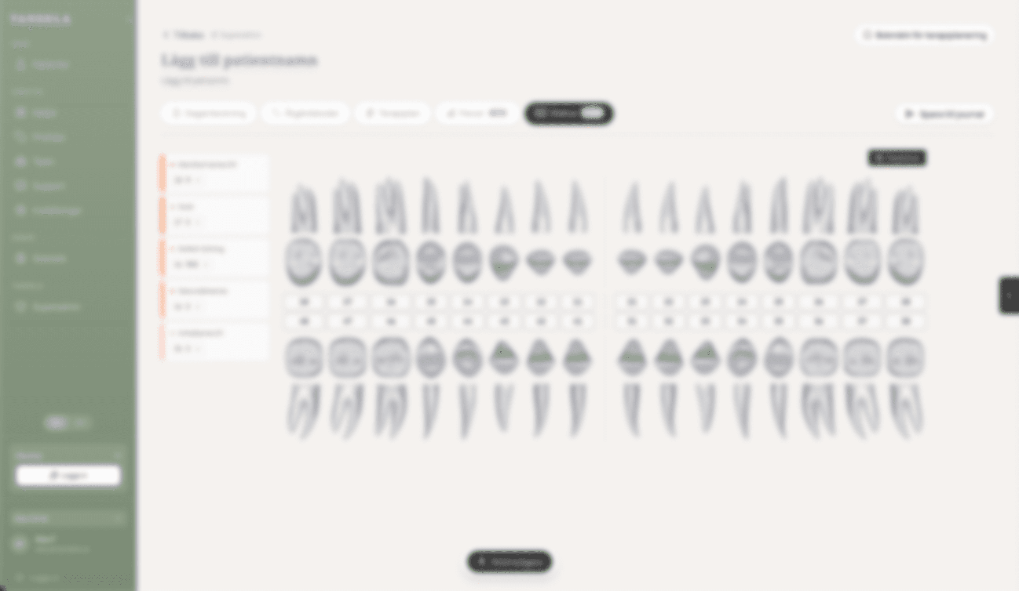 Dental chart draft